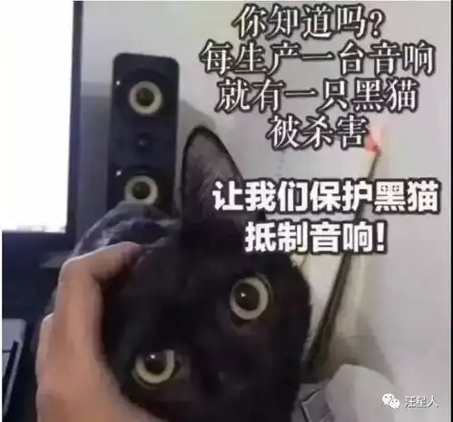 你的口红会让狗子失去丁丁快住手