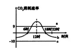 高中生物第6页组卷网