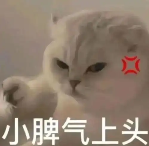 搞笑猫猫表情包第七弹