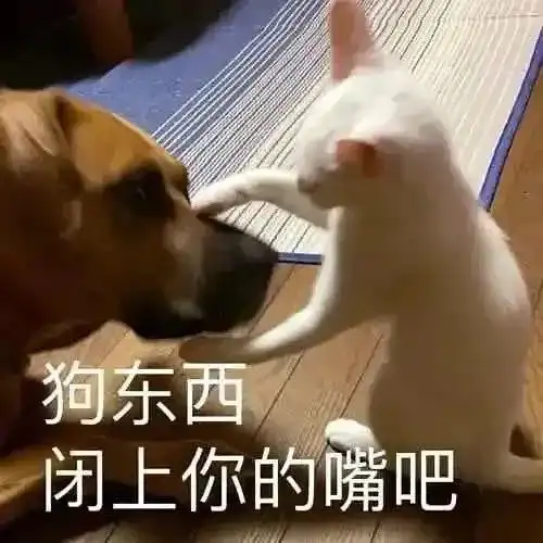 3.20表情包丨找不到你做人的证据