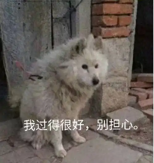 怎样发朋友圈可以变成朋友们的快乐源泉