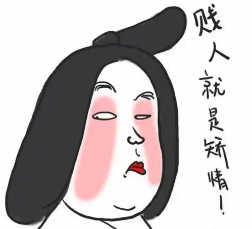 h5是什么