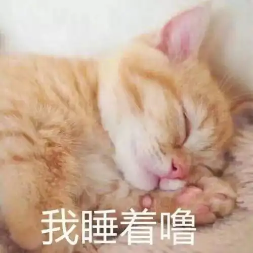 斗图小表情6.16
