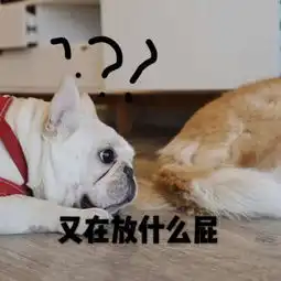笑出鼻涕泡的搞笑萌猫表情包你一本正经卖萌的样子怎么辣么搞笑