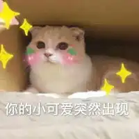 突然冒出来的表情包