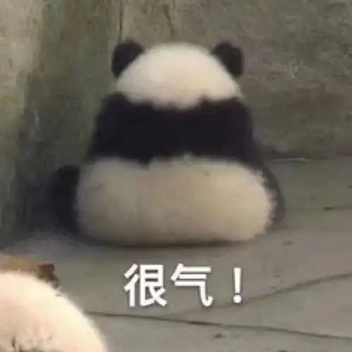 柠檬眼熊猫表情包