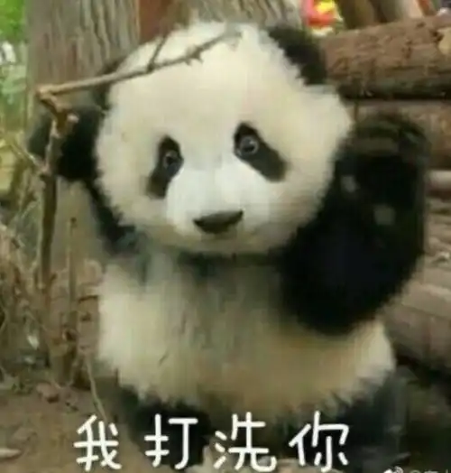 校园王子学霸,帅气飞行员小哥哥刷屏了附征兵攻略