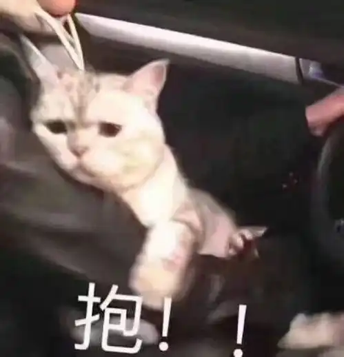 一包在手,天下我有