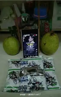 感觉我又聪明了2斤这事都是豆腐的错
