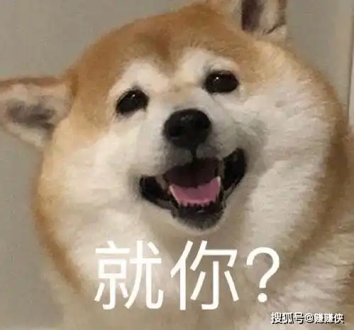 热门表情包图片我就色眯眯的盯着你,怎么了