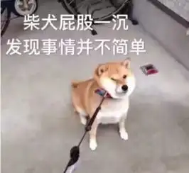 对着手机点头摇头就能赚钱女子这样做结果欠下九万元
