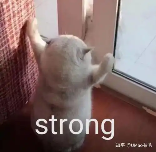 2017撩妹表情包沙雕