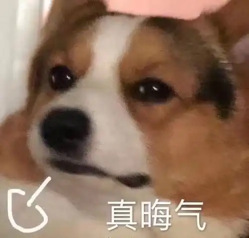 五年高血压都压不住的文案