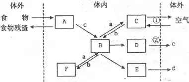3.下图是模拟膈肌的运动与呼吸的关系示意图.下列叙述正确的是a.甲图演示吸气.膈肌收缩b.乙图演示吸气.膈肌舒张c.甲图演示呼气.膈肌舒张d.乙图演示呼气.膈肌