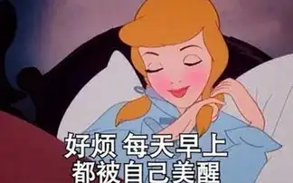 资料查询十大品牌网