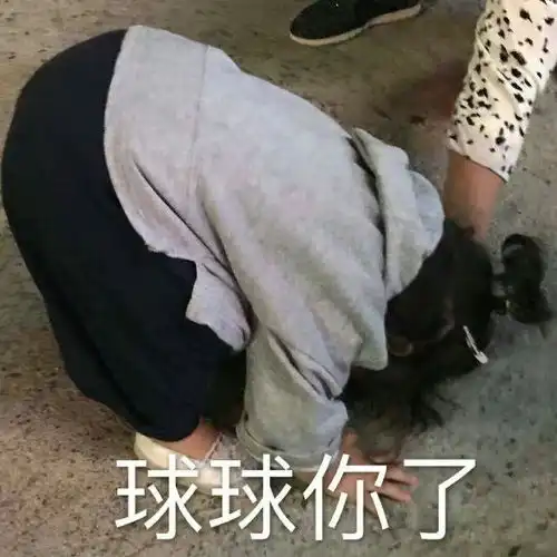 可爱的斗图表情包合集真的真的真的吗