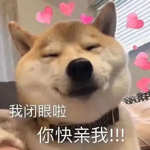 微信聊天情包情包,很实用噢记得点赞收藏