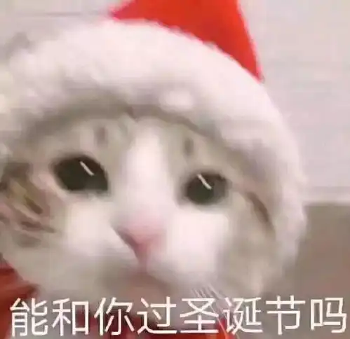 结婚的时候该发什么朋友圈感受下网友们的神仙脑洞
