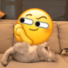 小猫点头表情包gif