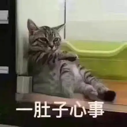 不用拼爹只要拼命就能站到金字塔尖分析师的日子都是怎么过的