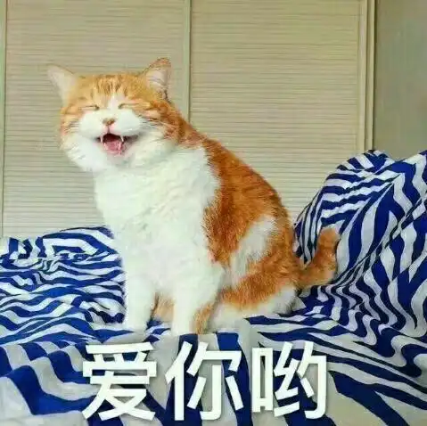 歪嘴猫表情包