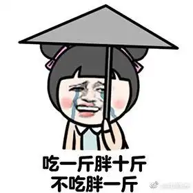 形容胖子的表情包