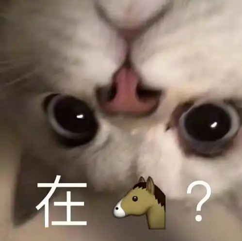 甜度满分的故事