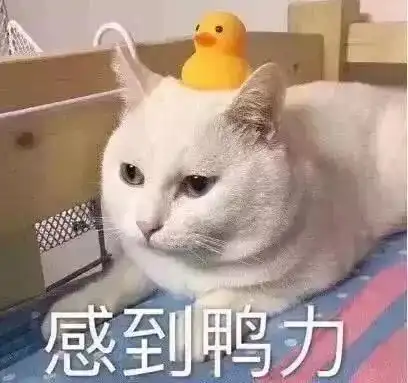 最新台风今天就到,苏州迎来大雨到暴雨我的七夕会不会泡汤
