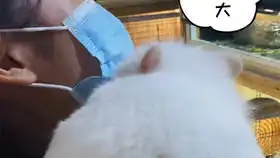 抖音小仙女小姐姐嫁给我好不好﹃