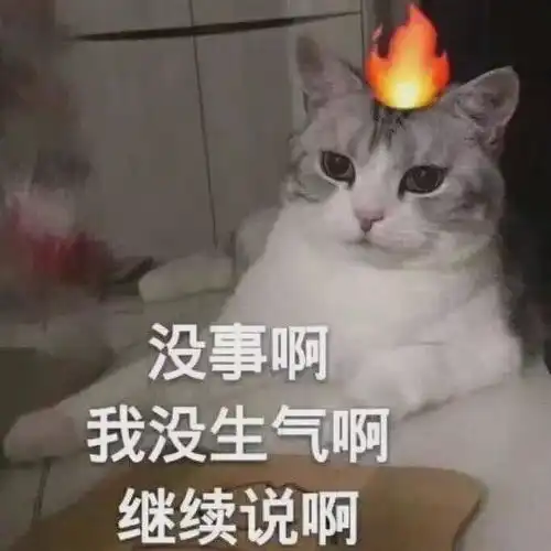 作为命理师,偶尔也是想揍几个客户出出气的六爻风水命理学网易订阅