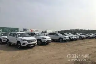 车市不理想新能源汽车能否借好政策东风