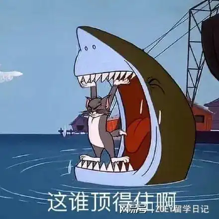 25fall不要盲目冲先看完这篇背景新西兰留学中介测评
