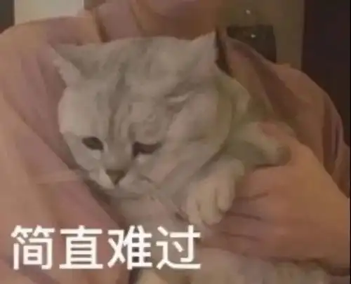 十分抱歉表情包沙雕