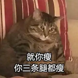 变胖后的生活有点烦,但是你要敢嘲笑我,看我不怼死你