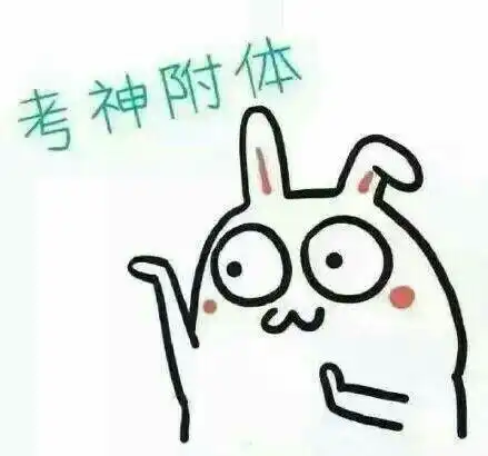 十分抱歉表情包鸭子