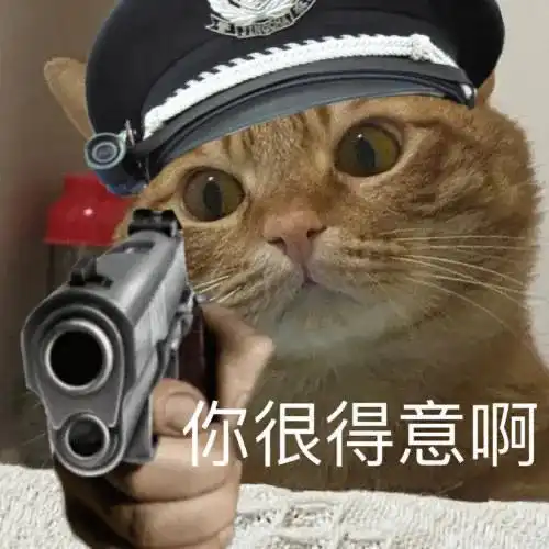 神表情你再指我试试