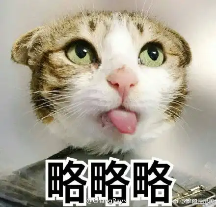 可爱动物qq表情包