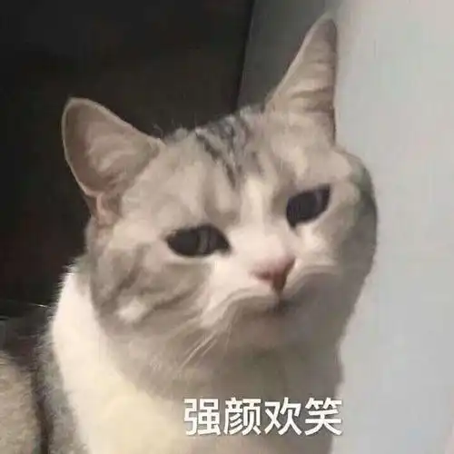 作为老秦粉,关于大秦赋不得不说的一些话