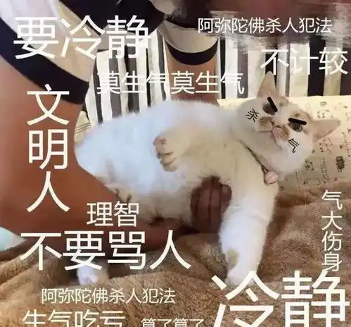 暴走不约表情包乱谈琴