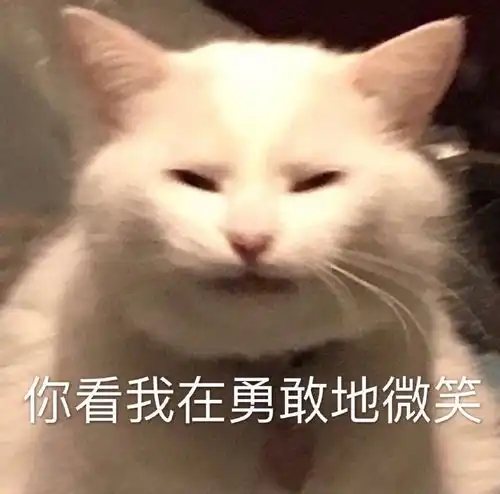 萌宠表情包你看我在勇敢的微笑