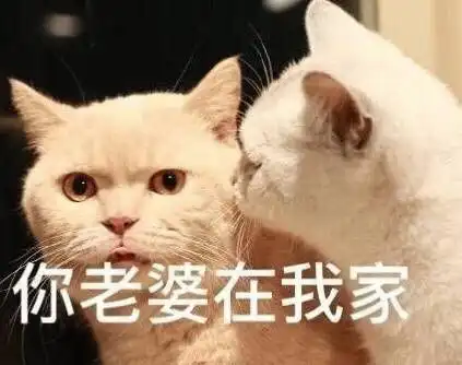 推文嫁给一个死太监甜文真太监