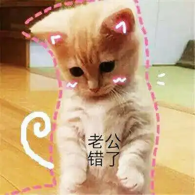 表情包软萌猫咪撒娇卖萌系列软妹必备