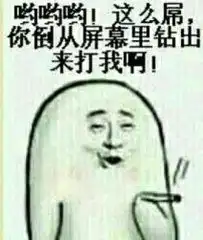 一只啥也不懂得菜鸡