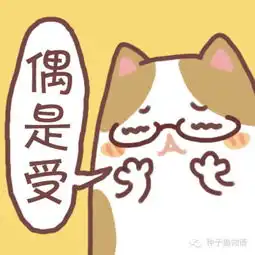 更多表情,壁纸关注微信公众号种子猫物语堆糖,美好生活研究所