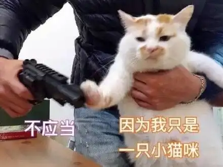 楼楼,下次跑得再快一点