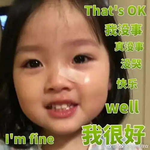 金艺贞表情包ok