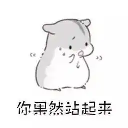 仓鼠喝水动图表情包