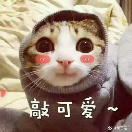 可爱的老虎表情包天干地