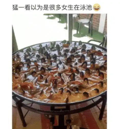 过收费站前面车竟然拿出了一摞馕,我彻底慌了哈哈哈哈哈羊肉串能支付不