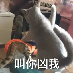 沙雕搞笑斗图表情包虽然皮,但是可爱